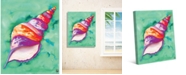 Creative Gallery Colorful Sea Snail Shell 20" x 16" Canvas Wall Art Print